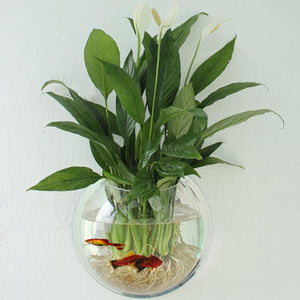 Acrylic Aquarium Fish Tank Wall Mounted Hanging Plant Pot Grow Vase Home Decor