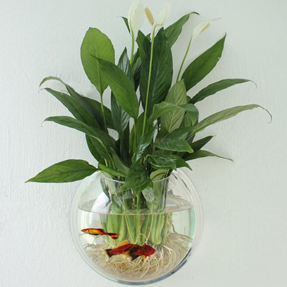 Acrylic Aquarium Fish Tank Wall Mounted Hanging Plant Pot Grow Vase Home Decor