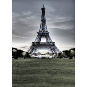 5x7FT Cloudy Eiffel Tower Photography Backdrop Background Studio Prop