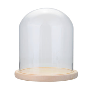 15x17cm Clear Glass Dome Cover Display Stands Wooden Base