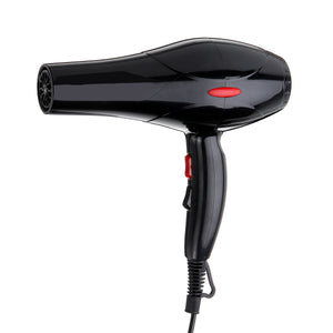 220V 50Hz 2200W Hair Dryer Black Dust and Noise Reduction Inlet Design