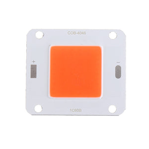 DC3-3.7V Full Spectrum 20W COB LED Plant Grow Lamp Chip for Indoor Solar Light Source