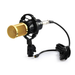 Universal HD Noise Cancelling Meeting Recording Broadcast Condenser Microphone with Shock Mount