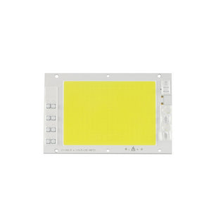 100W LED COB Chip Light Smart IC Driver DIY For Waterproof Floodlight Spotlight AC190-240V