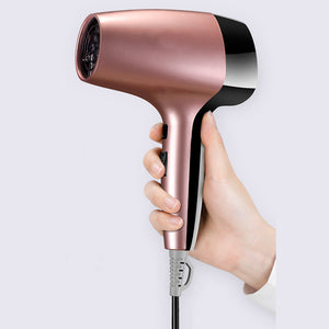 Hair Dryer Home Small Power Hotel Hotel Hairdressing Constant Temperature