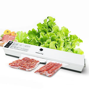 Household Food Vacuum Sealer Packaging Machine 110V 220V Film Seal Ring Sealer Vacuum Packer