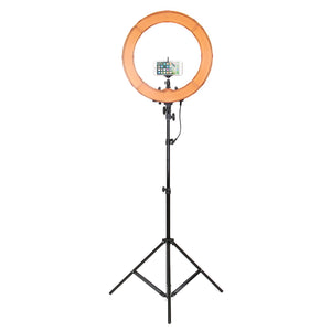 Ring Light Holder Light Stand for Studio LED Video Light Ring Light