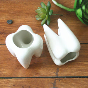 2Pcs Ceramic Plant Flower Pot Succulent Garden Cute Teeth White Home Decorative Storage Container