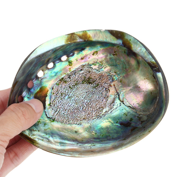 13X10CM Natural Abalone Sea Shell Both Side Polished Beach Craft DIY Decorations