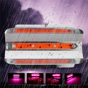 30W/50W/80W Full Spetrum LED Floodlight Waterproof COB LED Grow Light DIY Led Chip AC110V/220V