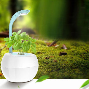 Smart Garden Flower Pot Soilless Culture LED Desk Lamp Creative Gifts Automatic Remind Touch Dimmer