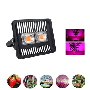 100W Full Spectrum COB LED Plant Grow Flood Light AC220-240V Waterproof for Outdoor Indoor