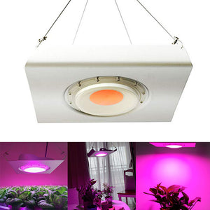 ARILUX 50W Full Spectrum Waterproof IP65 Thunder Protection COB Plant Grow Flood Light AC220-240CV