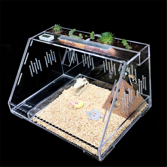 Reptile Insect Spider Acrylic Cage Transparent Breeding Display Box Vivarium Lid Breeding Tank with Lock