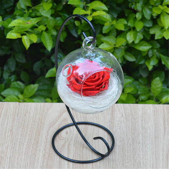 Clear Hanging Glass Ball Vase Flower Plant Pot Terrarium Container Decoration Decorative Hardware