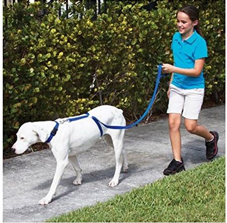 Trainer Dog Leash Trains Dogs 30 Lbs Stop Pulling Walking Leading Leash