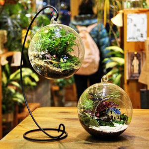 Honana HG-GD1 DIY Micro Landscape Plant Glass Hanging Ball with Iron Rack Home Decoration