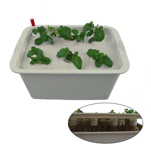 Oxygen Mini 11 Hole Water Culture Seedling Boxes Soilless Cultivation Planting Boxes