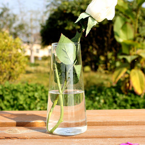 Cylinder Shaped Hydroponic Plants Glass Bottle Vase  Home Garden Wedding Party Decoration