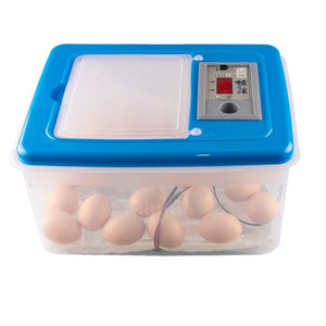 32 Eggs Automatic Digital Poultry Incubator Hatcher Water Incubation W/ Egg Candler 220V