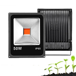 20W 30W 50W Full Spectrum COB LED Grow Plant Flood Light Waterproof  for Vegetable Flower AC85-265V