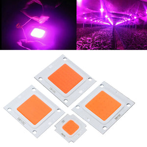 10W 20W 30W 50W 70W 100W LED Full Spectrum Plant Grow Light Chip DIY DC9-10V / DC20-32V