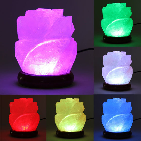 Himalayan Natural Crystal Rose Salt Lamps Bulb Night Light Ionic Purifier Gifts