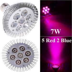 7W E27 5 Red 2 Blue Garden Plant Grow LED Bulb Greenhouse Plant Seedling Growth Light