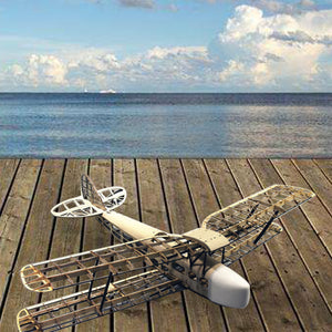 Light Wood Fixed Wing Kit Retro Tiger Wings Exercise Machine Remote Control Aeromodelling Plane Toy