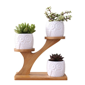 3Pcs Owl Succulent Pot Ceramic Garden Flower Planter Holder Bamboo Stand Sets