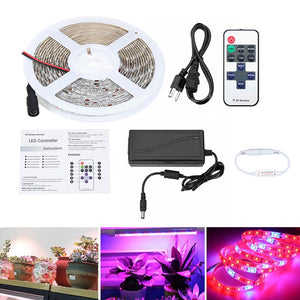 DC12V 5M 5050 Red:Blue 5:1 Full Spectrum LED Grow Strip Hydroponic Plant Light Kit + Power Adapter