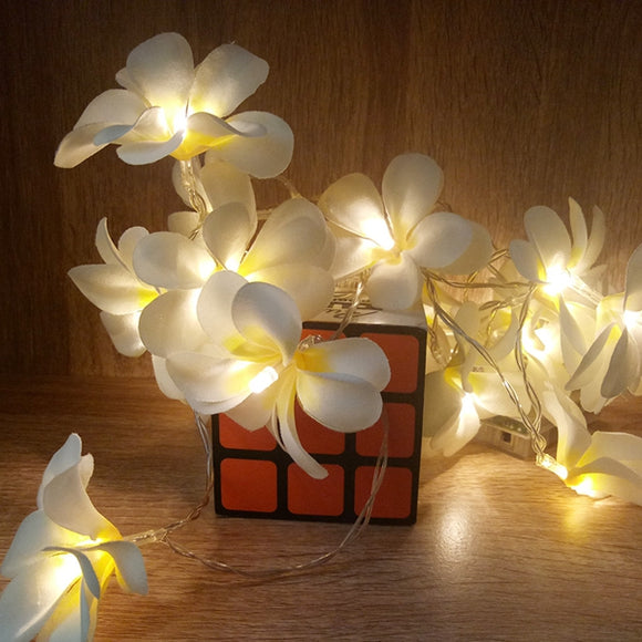 Battery Powered 3M 5M Frangipani Shaped Warm White Fairy String Light for Christmas Party