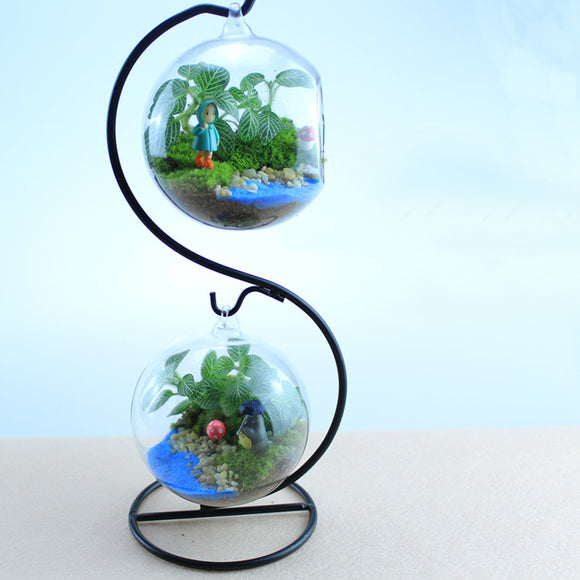 Creative Flower Pot Glass Ball Vase Terrarium Hjem Rom Decor Gave