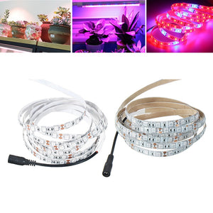 3M SMD5050 Red:Blue 5:1 Full Spectrum LED Grow Strip Hydroponic Plant Light Kit+Power Adapter DC12V