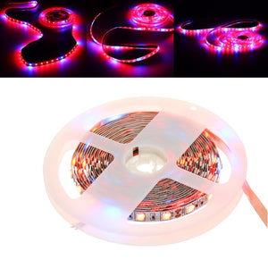 5M SMD5050 Red:Blue 3:1 4:1 5:1 Waterproof LED Strip Grow Plant Light DC12V for Vegetable