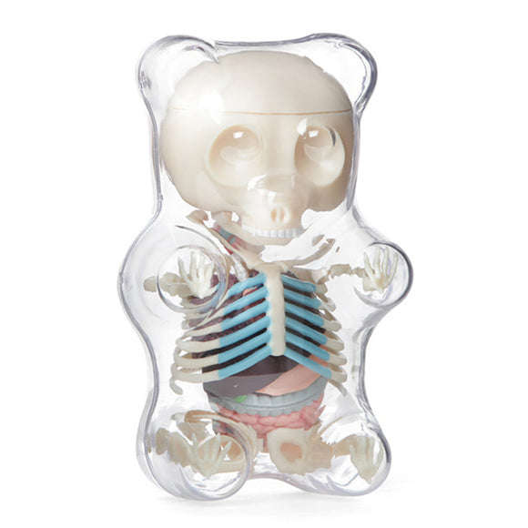 4D MASTER STEM Anatomy Model Gummi Bear Skeleton Anime Assembly Action Figure Gifts Science Animal Model