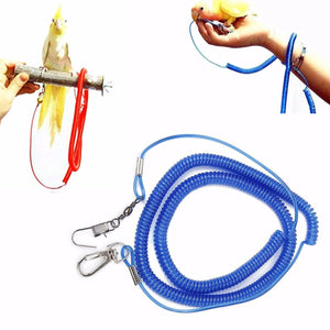 Anti-bite Parrot Flying Training Rope Bird Lead Leash Kits Outdoor Flying Rope Jumping for Cockatiel