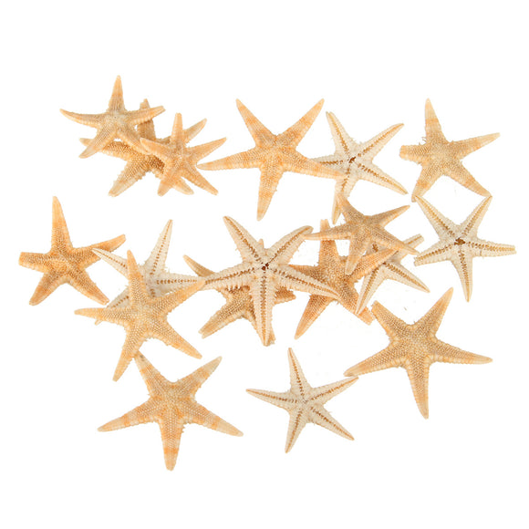 20Pcs Mini Starfish Sea Star Shell Landscape Beach Wedding DIY Crafts Making Decorations