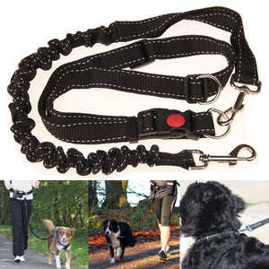 Black Adjustable Handsfree Elastic Pet Dog Lead Running Jogging Waist Belt Leash