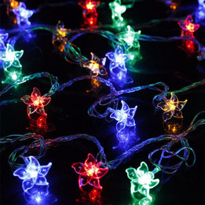 220V EU Christmas Cercis LED Light String Curtain Light Home Decor Celebration Festival Wedding