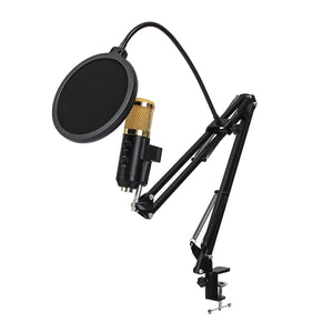 Adjustable Broadcast Podcasting Mic Volume Noise Reduction Capacitor KTV Audio Studio Recording Microphone