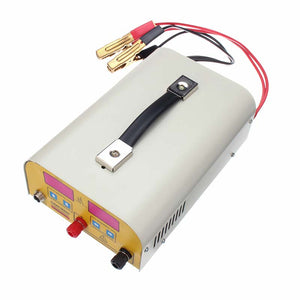 SUSAN-2030NP 12V Ultrasonic Inverter IGBT Electro Fisher Fish Machine Shocker Stunner w/ Fuse