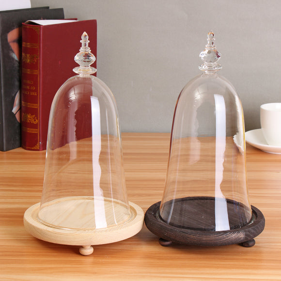 Glass Display Dome Cloche Box with Wooden Base Inspired By Beauty and the Beast