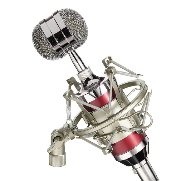 BM-3000 Dynamic Condenser Recording Microphone For Studio with Shock Mount Pop Filter