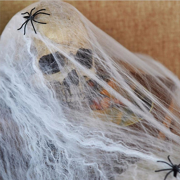 Noctilucent Spider Web With 2 Spiders Halloween Home Party Haunted House Decor