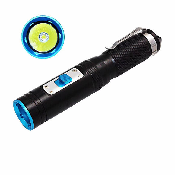 HaikeLite TS100 XM L2 U2 4Modes 6500K 1000Lumens Diving Flashlight 18650