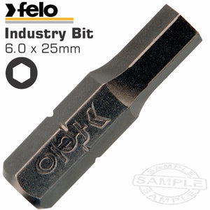 FELO ALLEN/HEX 6.0 X 25MM BULK INS.BIT