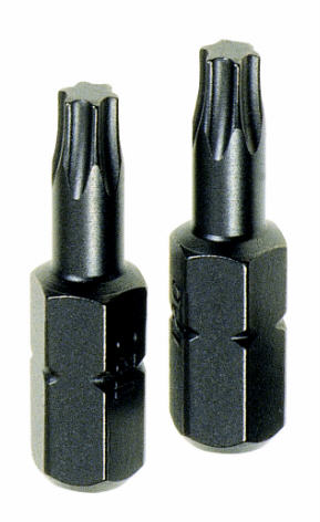 TORX TX25 INSERT BITS 2 PCE