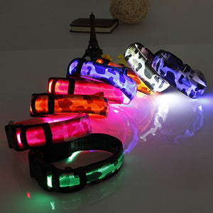 S Pet Dog LED Collar Nylon Safety Light Up Flashing Collar