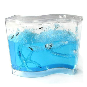 Ant Farm Ant Work Ant Palace Ant home Gel Maze Ant Fun Glue